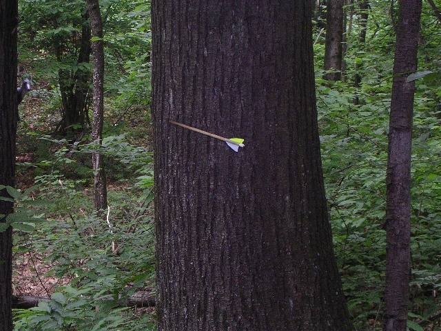 am06_16.jpg
