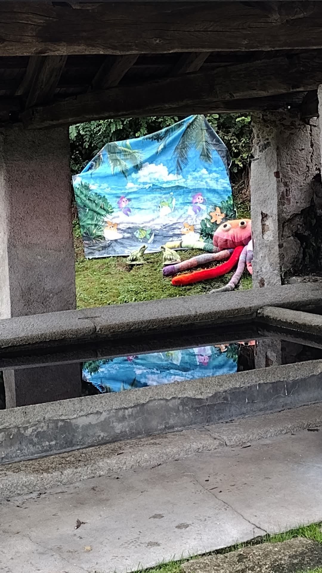 probico_4.jpg